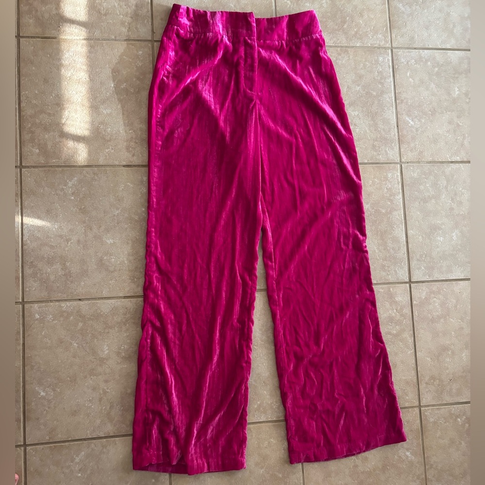Zara Fuchsia Velvet Wide Leg Pants